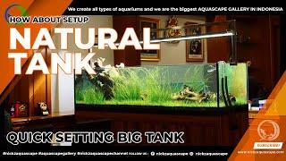 BACK TO BASIC AMAZING NATURAL AQUASCAPE TANK 200 CM 2 VIEW