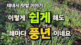 [미국 테네시]  겨울철 텃밭관리는 너무 쉬워요 #텃밭이야기 #텃밭채소 #자연재배