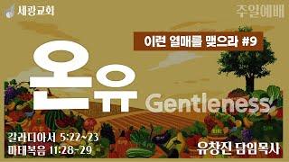 [세광교회-주일예배] 온유 (Gentleness) | 유창진 담임목사 | 2024-1201