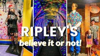 Ripleys Believe It Or Not Surfers Paradise | Odditorium Gold Coast