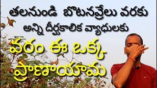 ప్రాణాయామలో దీనిని మించిన ప్రాణాయామ లేదు |Anuloma  Viloma Pranayama |  Nadi shuddi | Nadi shodhana