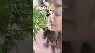 只有我们懂得自强、大胆取舍、不惧改变，才会被这个世界温柔地爱着。【不执着于过往的人情冷暖，抬头向前看，终究能跨越山海，抵达繁花似锦的那天。早安