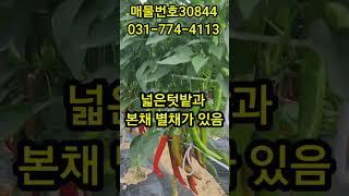 양평계곡 접한 전원주택 토지625평 건물45평
