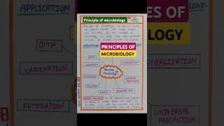 Principles of microbiology | importance of microbiology |microbiology principles #shortvideo #shorts