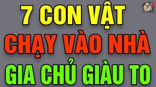 7 Con Vật Này Chạy Vào Nhà Dịp TẾT ĐẢM BẢO GIÀU TO, GIA Chủ Phát Tài NỔ Lộc |THCS