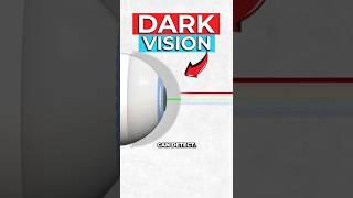 Scientists Create Contact Lens To See In the Dark