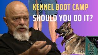 Ins and Outs Of In Kennel Boot Camp Type Training Dog Training