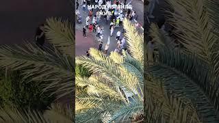 ПРАЗДНИК ЛАГ БА ОМЕР В ИЗРАИЛЕ! 