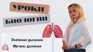 Значение дыхания  Органы дыхания