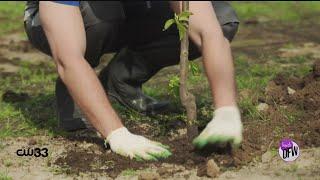 Keeping Dallas a blooming city is the mission of DFW non-profit Texas Blossoms