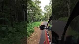 Koka forest | Bhandara | Travel and Food with Komal | Jungle Safari | Tiger Reserve | Travel