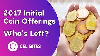 2017 ICO Boom: Who's left?   CEL Bites