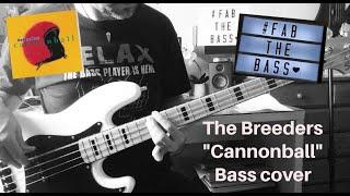 Breeders - Cannonball Bass cover