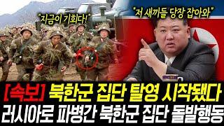 [속보] 북한군 집단 탈영 시작됐다. 러시아전쟁에 파병간 북한군인들 집단 돌발행동 포착