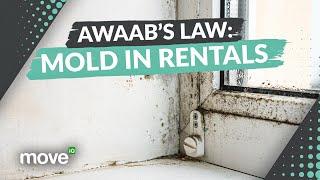 Awaab’s Law: What Every Renter Needs to Know