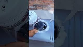 You’ll Never Water Plants the Same Way Again!  #shorts