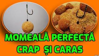 Momeală pentru crapi mari - rețetă de boilies