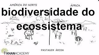 biodiversidade do ecossistema | Biodiversidade e  conservação | Biologia | Khan Academy