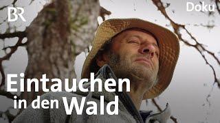 Wald als Therapeut: Waldbaden mit dem Schmidt Max | freizeit | Doku | BR