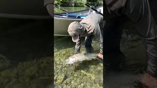 Salmon Fishing Guide Ryan Tripp With A California “Springer”