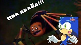 Odio las arañas!! (versión Sonic)