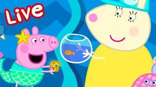 Peppa Pig Full Episodes - LIVE  BRAND NEW PEPPA PIG EPISODES ⭐️