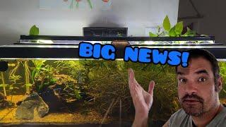 Father Fish Tank Setup: With An Insane Twist!