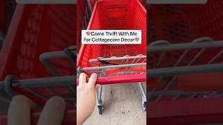 Come thrift with me for cottagecore decor! #cottagecore