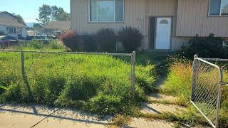 Man Recovering From Sickness Gets A FREE Yard Makeover