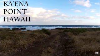 Ka'ena Point Hawaii Virtual Run