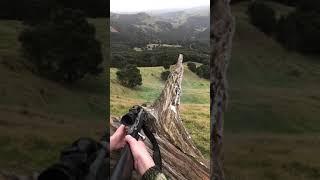 Heart shot on red hind with 270 win