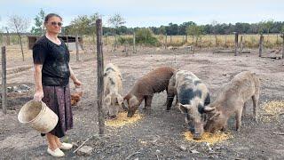 CAMPESINA cría animales en este PARAISO ESCONDIDO de TODO/Pampa Smith- Chaco