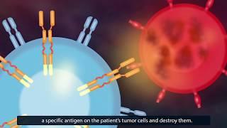 CAR T-Cell Therapy: How Does It Work?