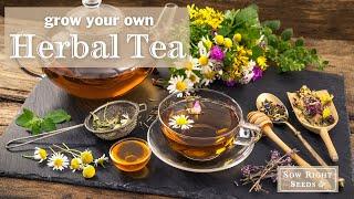 Sow Right Seeds | 10 Herbal Tea Seed Collection