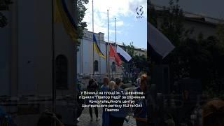 Біло-чорний символ підтримки і пам’яті: у Вінниці підняли "Прапор Надії"