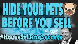 House Selling Secrets :  Hide Your Pets Before Selling Your House