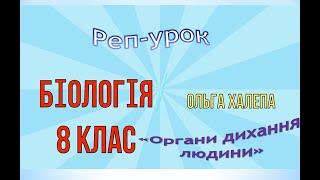 Органи дихання людини