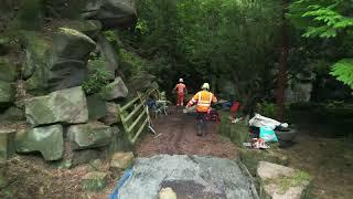 Thompson Tree Services Sydnope Hall Cedrus Deodara removal - Safety