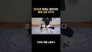 90%는 모르는 강아지가 행복할 때 하는 행동 4가지 #shorts