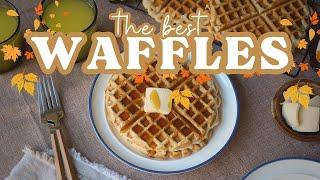 Easy Waffle Recipe  Recipe On Screen!