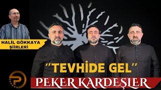 TEVHİDE GEL -PEKER KARDEŞLER-2024