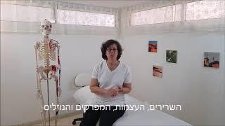 ענת גרינברג – אוסטאופתית, אוסטאופתיה היא רפואה אלטרנטיבית המחזירה את התנועתיות לאיברי הגוף