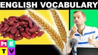 English Vocabulary | Grains & Legumes