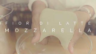 Fior di Latte Mozzarella | FINITY KITCHEN