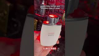 5 Fresh Clean Outta Shower Soapy Fragrances Perfumes Colognes