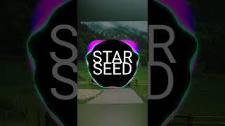 STAR SEED - Chasing Stars (mix-sound)