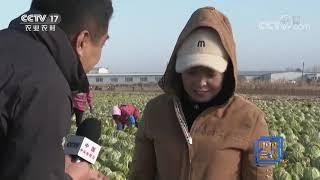 《中国三农报道》 20201108|CCTV农业