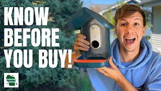 5 Things You NEED to KNOW Before Buying a Smart Bird Feeder!