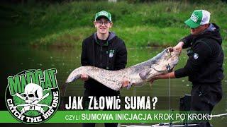 Jak złowić suma? czyli sumowa inicjacja krop po kroku #sum #catfish - Wyprawa sumowa #MADCAT