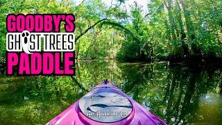 Goodby's Ghost Trees Paddle  Know Before You Go!